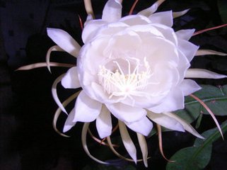 t01cb618b1645649c86.jpg